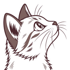 cat head