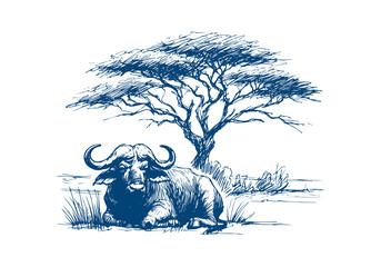 Cape Buffalo hand drawn sketch vector illustration © Shutoda