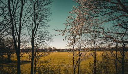 Wiosna w Alsdorf, Niemcy © Dorota