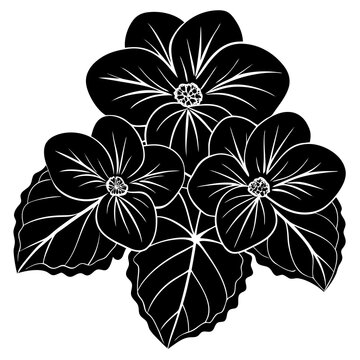 black and white flowers graphic clip art preview