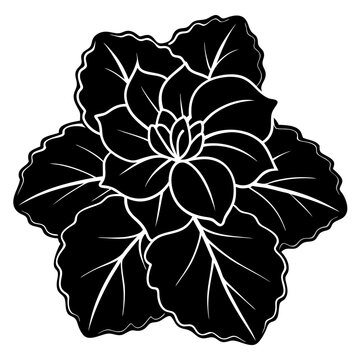 black and white flower plant outline clip art preview