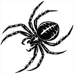 silhouette spider image on white background