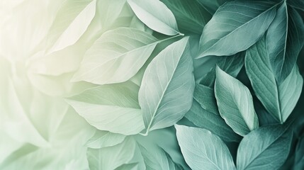 A delicate pattern of soft green leaves in varied shades creates a calming natural background