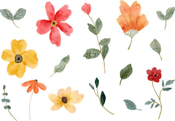 set of red yellow floral watercolor