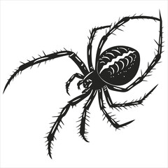 silhouette spider image on white background