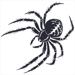 silhouette spider image on white background