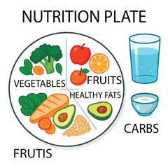 Educational vector illustration on a white background of divided nutrition plate labeled with five key food groups: vegetables, fruits, protein, healthy fats, and carbs. Isolated design.