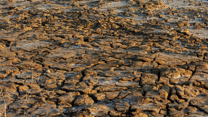 Cracked earth due to drought