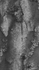 Black Watercolor Texture on Paper – Abstract Hand-Painted Background