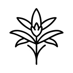 crocosmia flower vector icon, simple black outline line icon of crocosmia flower, flower vector line art icon