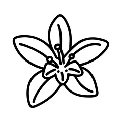 toad lily flower vector icon, simple black outline line icon of toad lily flower, flower vector line art icon