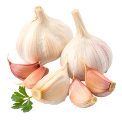 garlic isolated on white background
