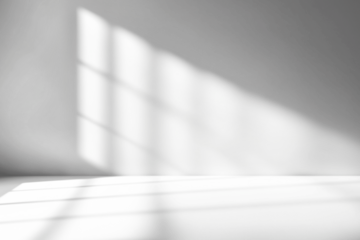 shadow overlay effects of realistic window and tree branch shadow with light blur on transparent background,Summer sunlight and shadow overlay effect