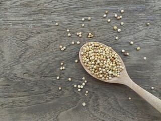 coriander on wooden spoon with wooden table background, food ingredient, Copy space 