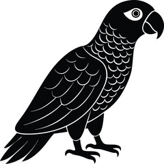 African parrot silhouette vector art.