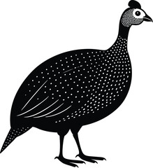 helmeted-guinea fowl vector art illustration.