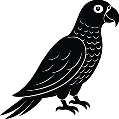 African grey parrot vector art illustration.