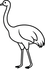 ostrich vector line art illustration.