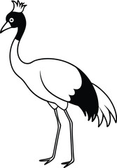 grey crowned crane vector art illustration.