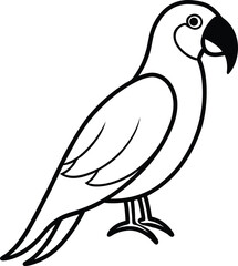 African parrot vector art illustration. © Jutish