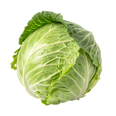 cabbage isolated on white background