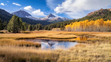 A vibrant smoothie bowl with acai, granola, and chia seeds. Featuring health and energy