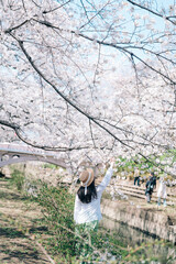 桜と女性と川