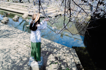 桜と女性と川