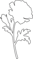 Vector flower art, a hand-drawn nature illustration