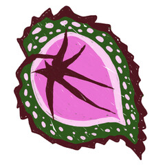 Plant with pink patterns