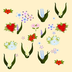 set of flowers and leaves