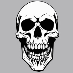 skull vector for graphic design needs