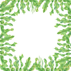 Square frame of watercolor seashell, coral and alga 