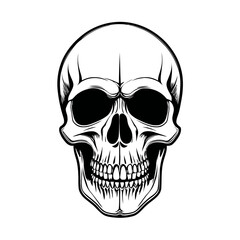 skull vector for graphic design needs