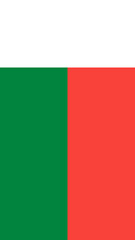 Madagascar flag in vibrant green, white, and red colors displayed prominently outdoors during a festive celebration