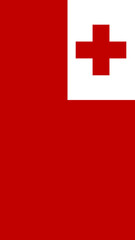 Tonga flag with a white cross symbolizing emergency medical services displayed prominently in a public area