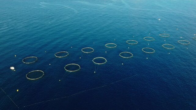 Drone view of tuna fish farm, tuna rings in Mediterranean sea