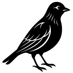 bird Silhouette Vector Art