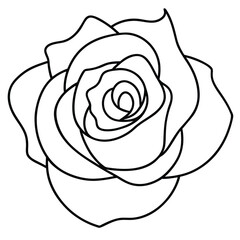 Stylish Aesthetic Rose Line Drawing ? Contemporary and Simple Floral Art