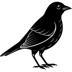 bird Silhouette Vector Art