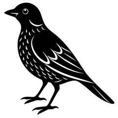 bird Silhouette Vector Art