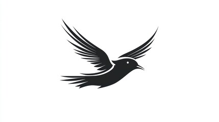 Fototapeta premium Silhouette of a bird in flight against a white background. Possible use Educational materials or presentations