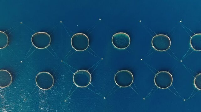 Drone view of tuna fish farm. Mediterranean sea