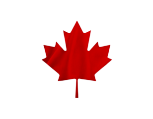 canadian flag on a wave