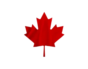 Fototapete Kanada canadian flag on a wave  © MDMrl