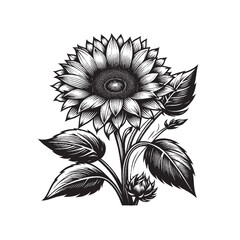 Hand-Drawn Sunflower Illustration