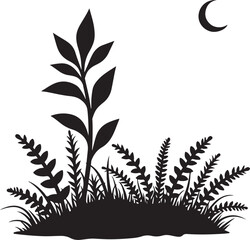 Wildflower Silhouettes in Bloom”