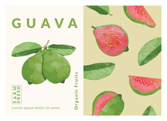 guava packaging design templates, watercolour style vector illustration.