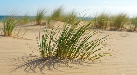 Dune's Embrace: Midday Sun AI Generated