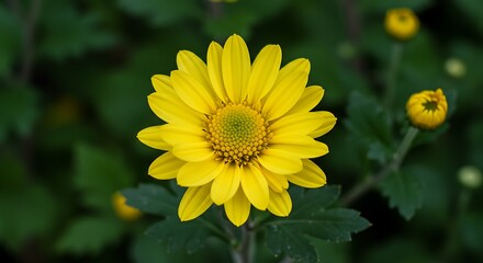 Obraz premium Golden Hour Bloom AI Generated